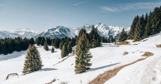 Savoie : entre art de vivre et gastronomie
