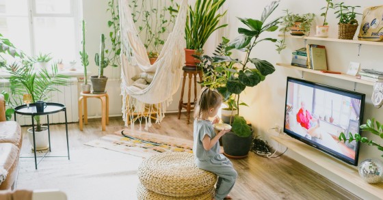 Les bienfaits des plantes d'intérieur : pourquoi elles ont toute leur place dans la maison