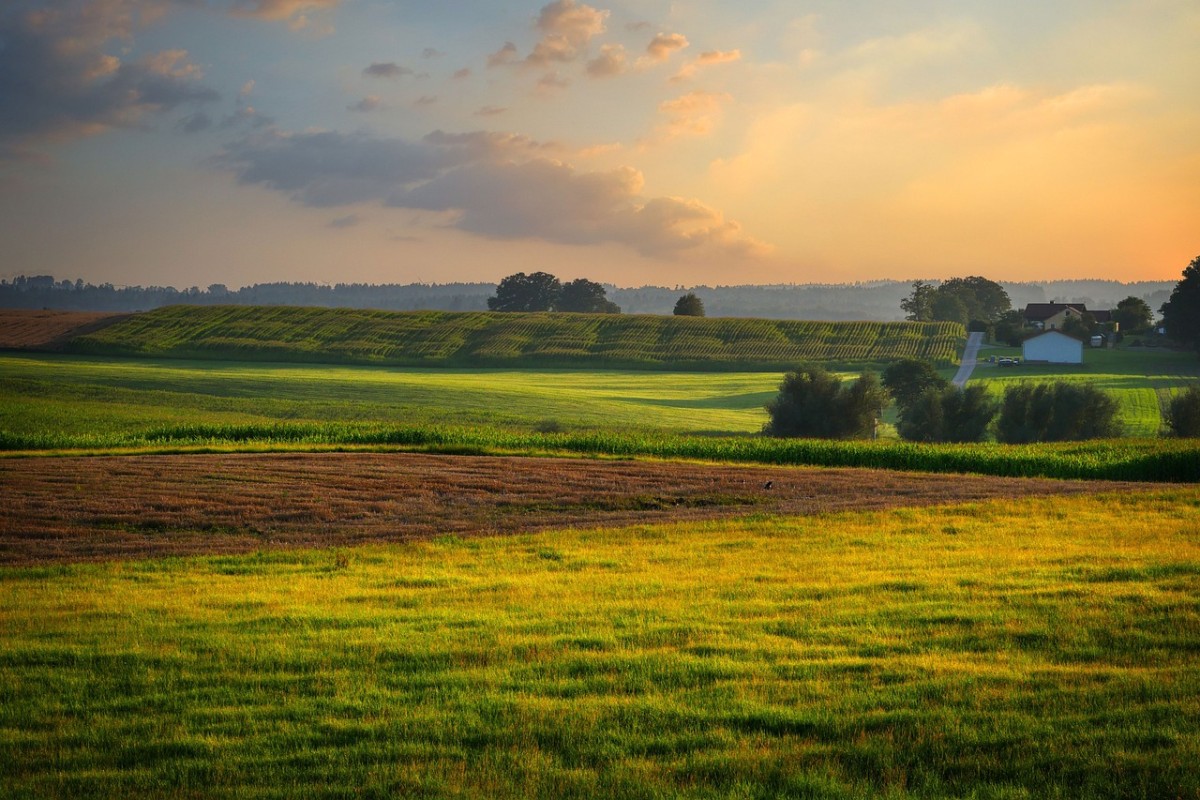 Calculer le prix du m2 d’un terrain constructible : comment faire ?