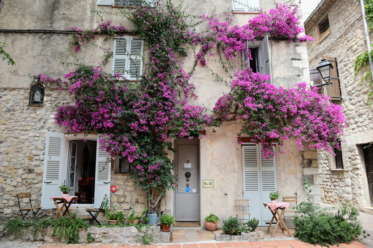 Modèle offre d'achat immobilier