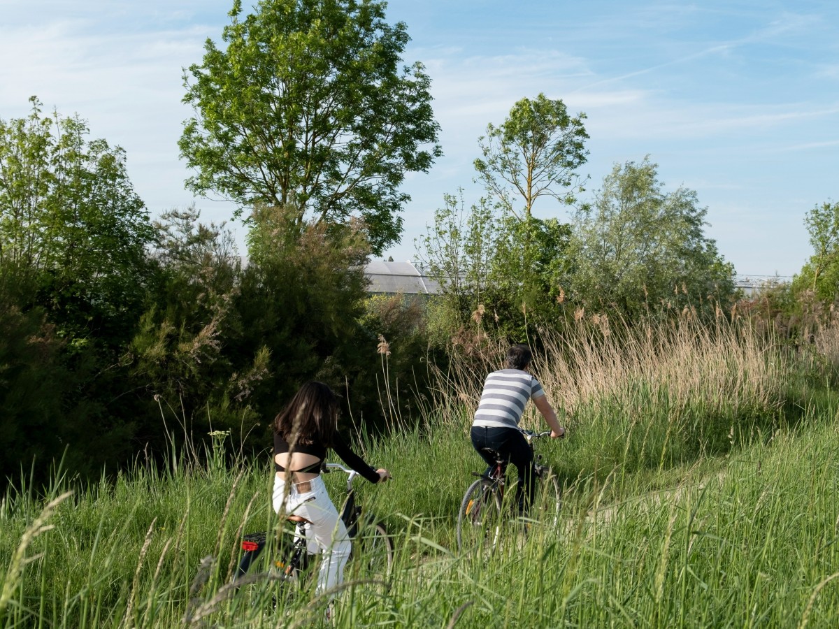 Vivre à Rochefort : ce qu'il faut savoir avant de s'installer