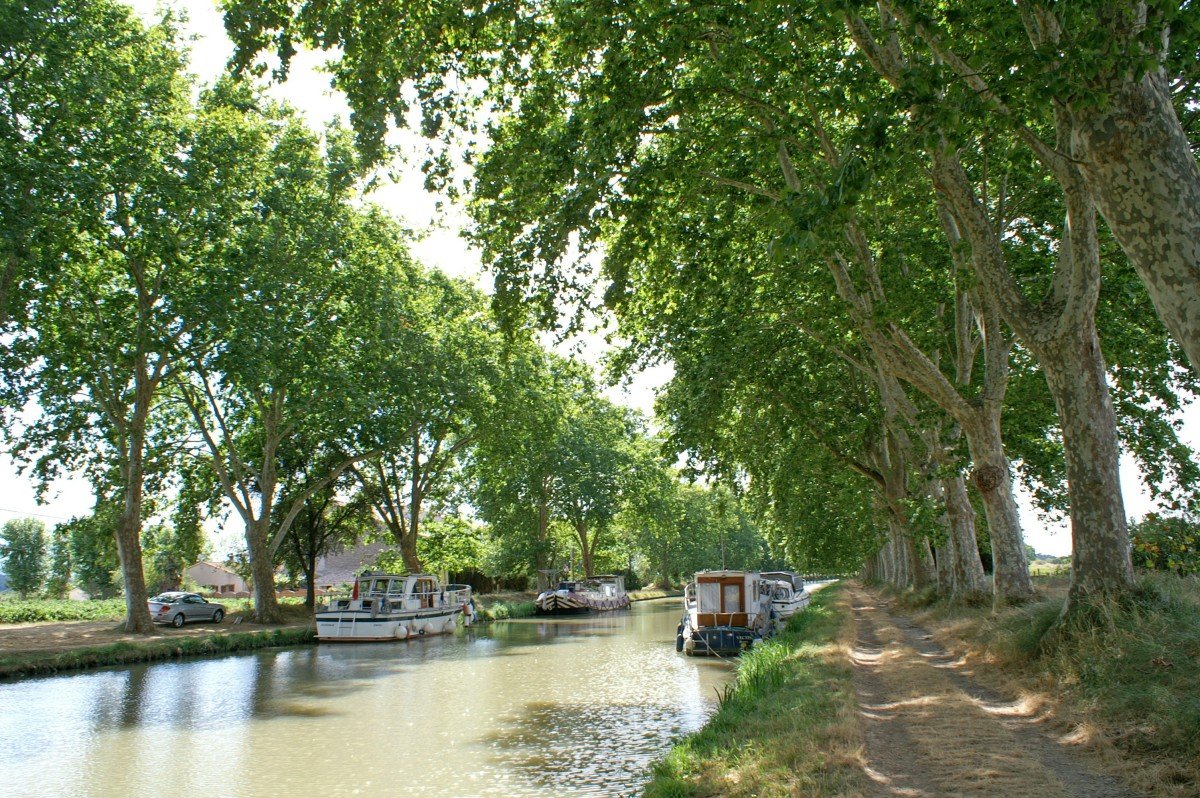 Le Canal du Midi, un voyage lent au cœur du sud de la France