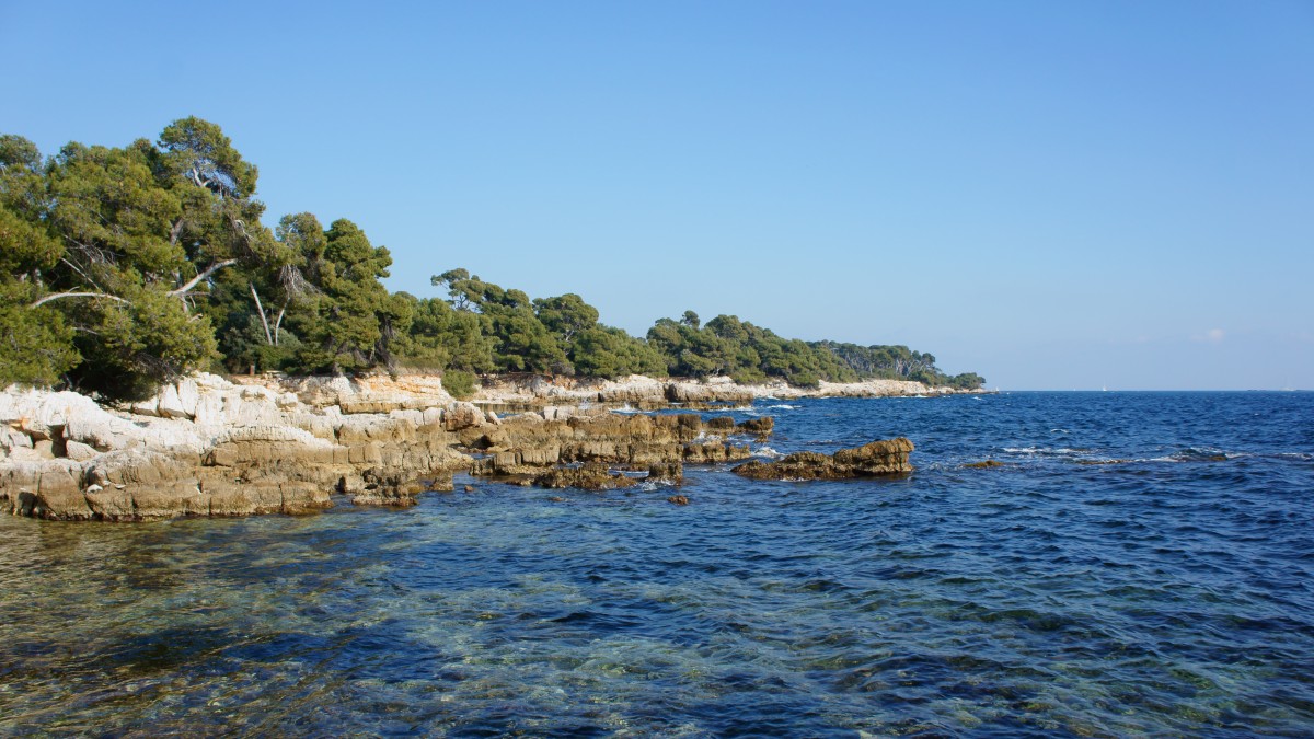 Cannes, bien plus qu’une ville de cinéma