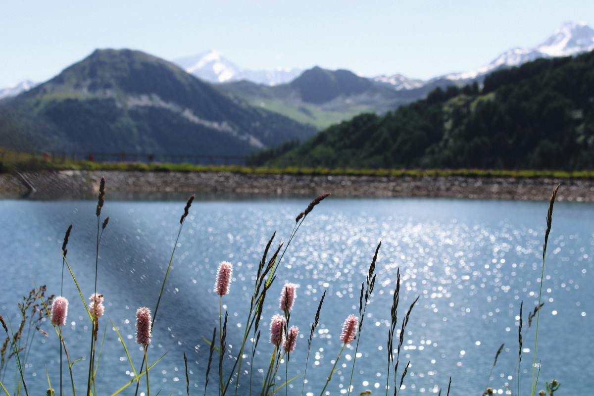 Top 10 des lacs à ne pas manquer durant votre séjour en Auvergne-Rhône-Alpes 