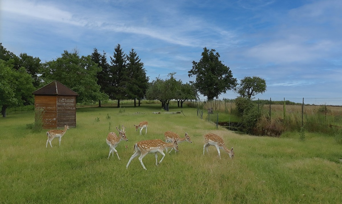 Les grands parcs à thème à découvrir en famille 