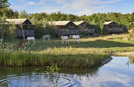Les grands parcs à thème à découvrir en famille 
