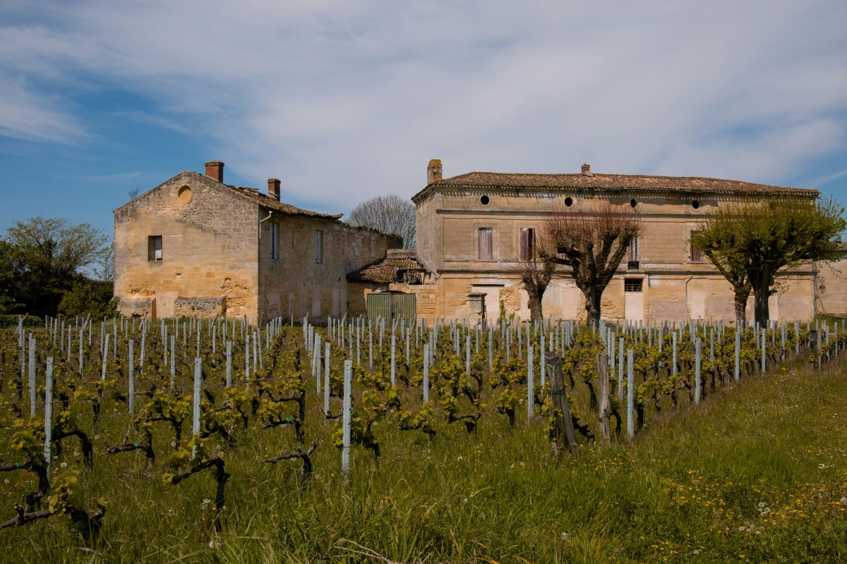 Saint-Émilion : la cité médiévale des grands crus