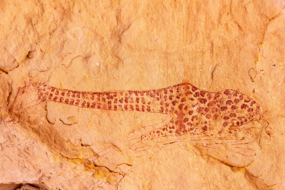 Le règne animal, éternelle source d’inspiration des designers