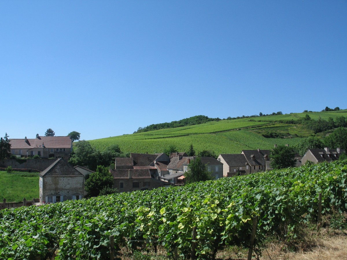 Beaune, l’élégance bourguignonne entre histoire et grands crus