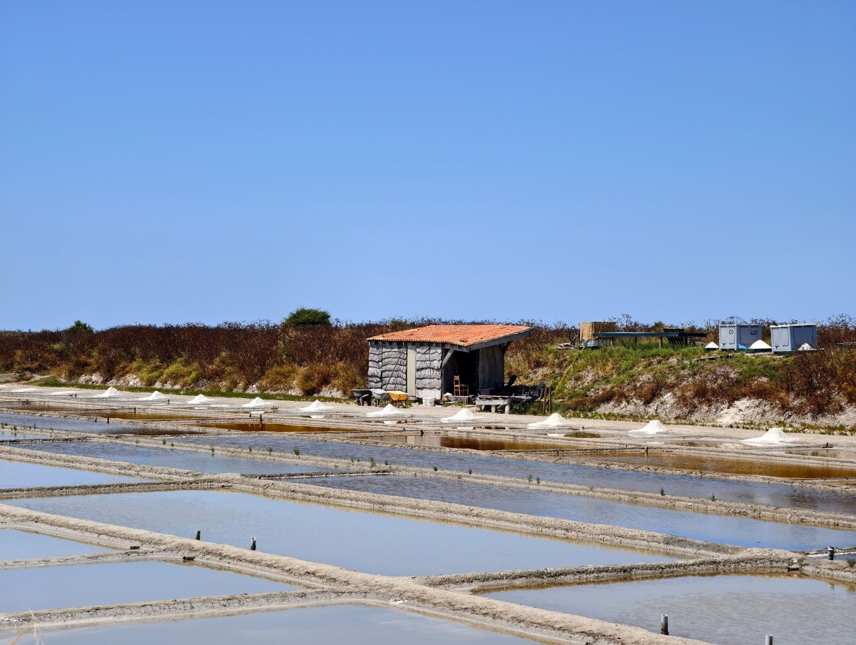 L’île de Ré, entre nature, patrimoine et art de vivre