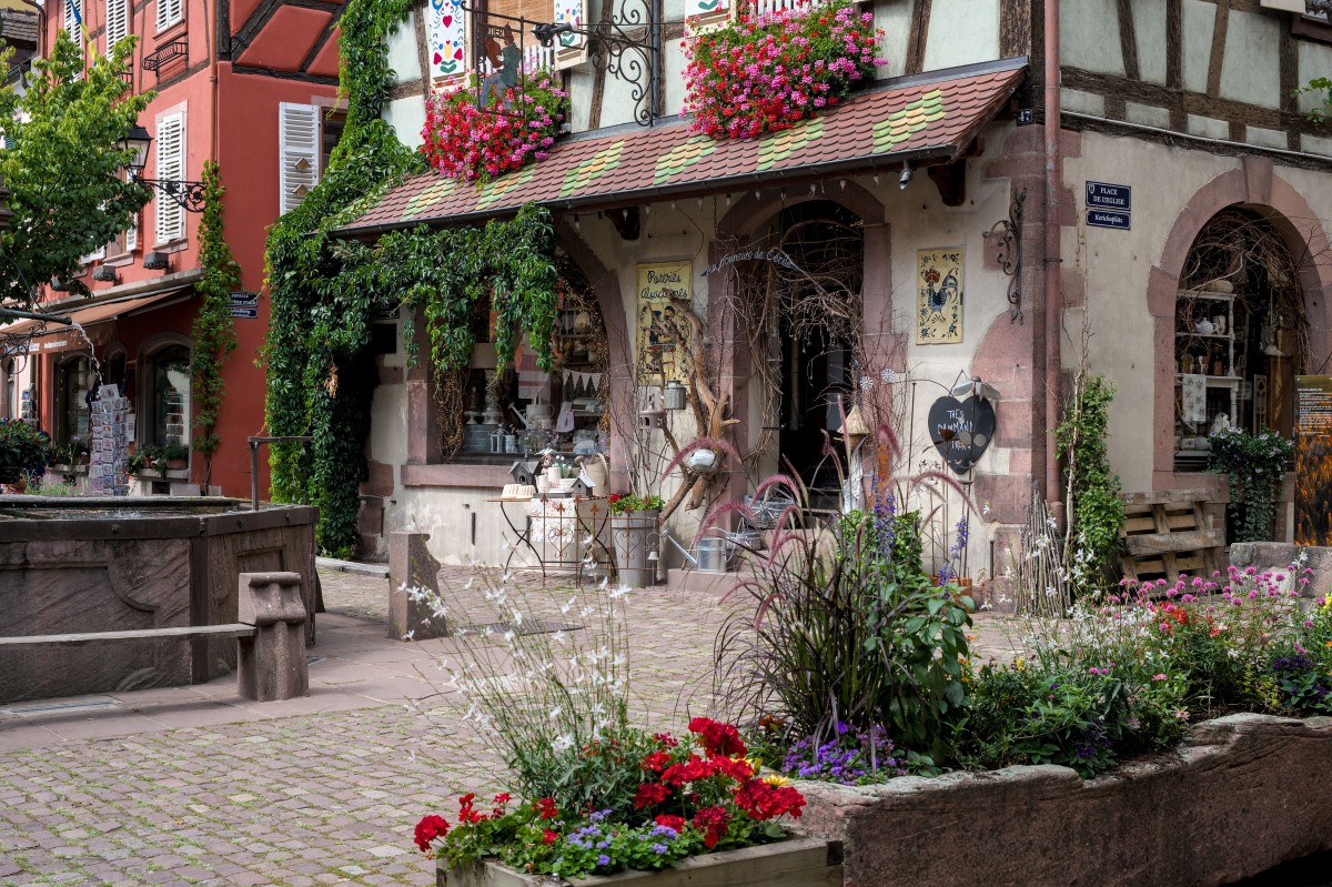 L’Alsace et son architecture typique : charme, histoire et traditions 
