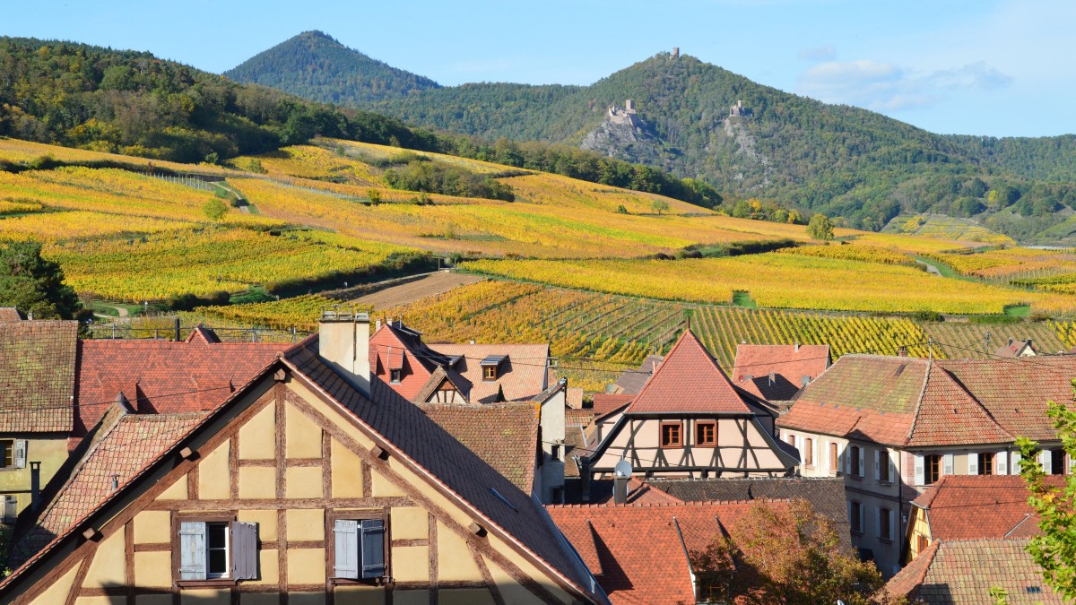 L’Alsace et son architecture typique : charme, histoire et traditions 