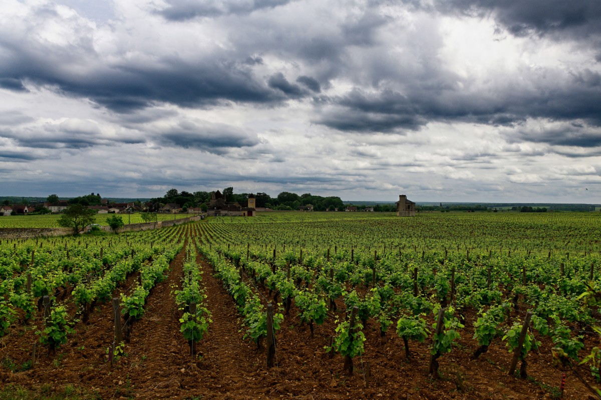 Construire avec le climat : les matériaux qui changent selon les régions