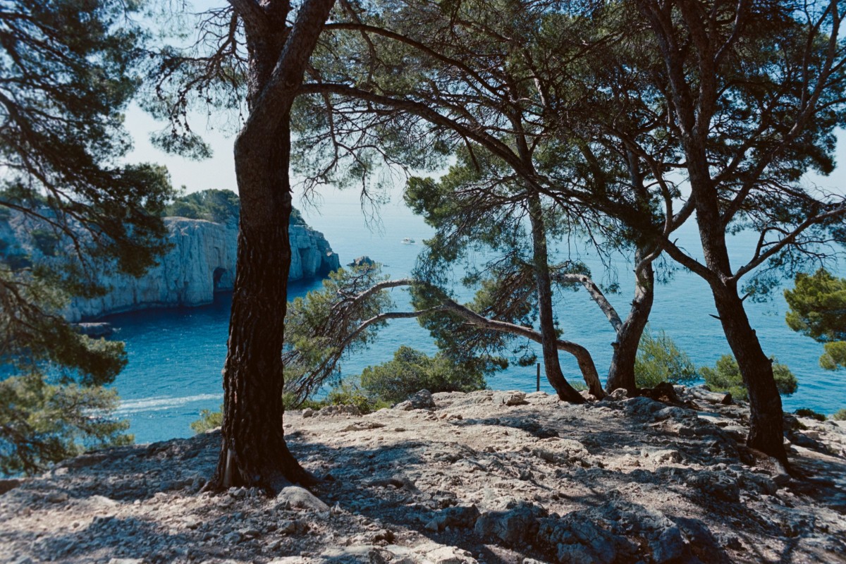 Les parcs et jardins emblématiques de France
