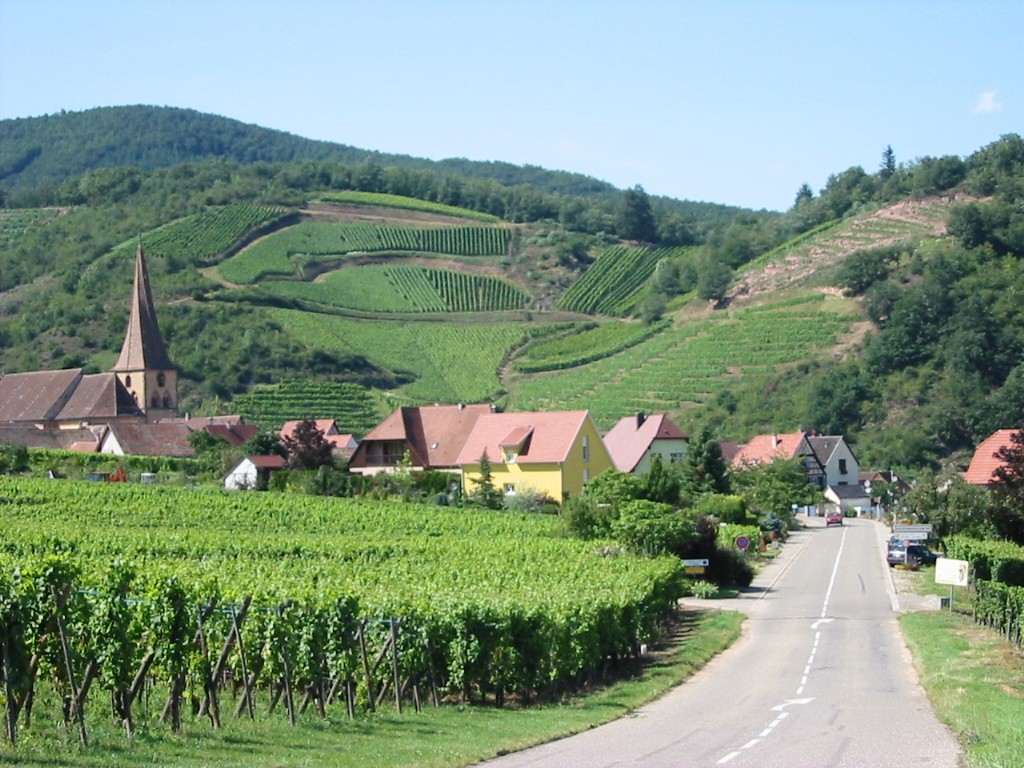 Les routes gastronomiques en France