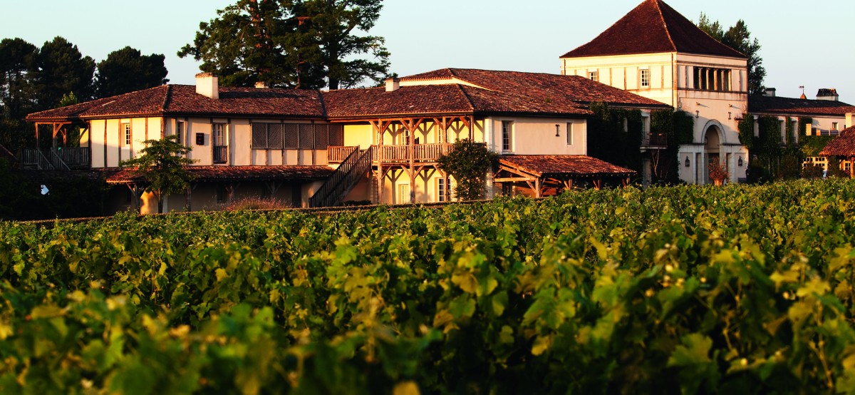 La saga de la famille Cathiard 