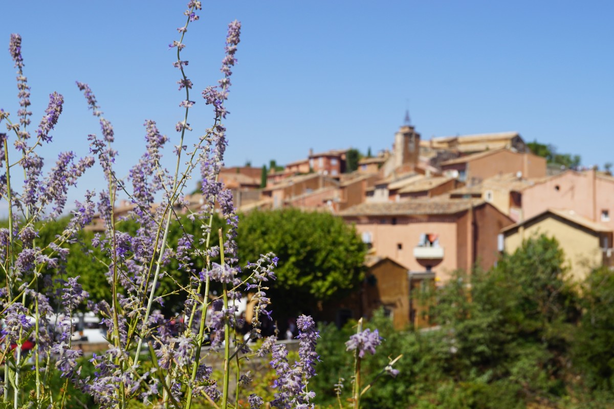 S’installer sous le soleil du Sud : les réalités à connaître avant de choisir la Provence 