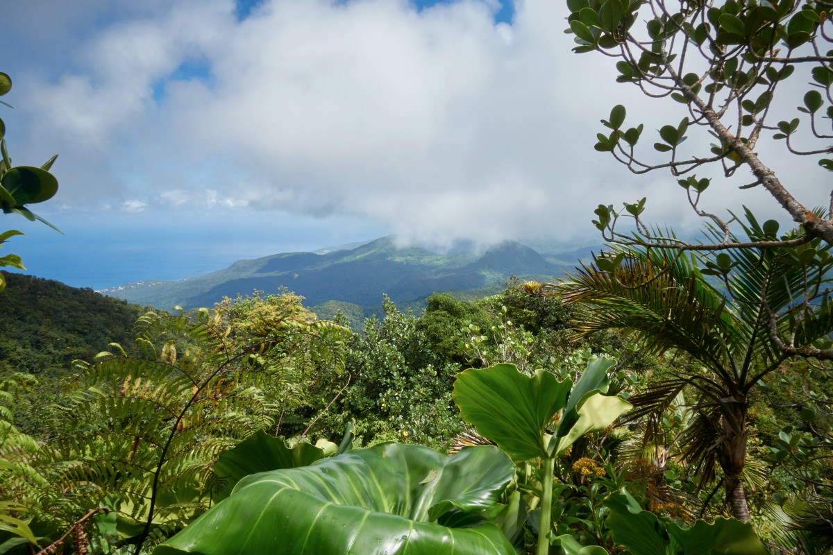 La Guadeloupe : à la découverte de l'archipel aux mille visages