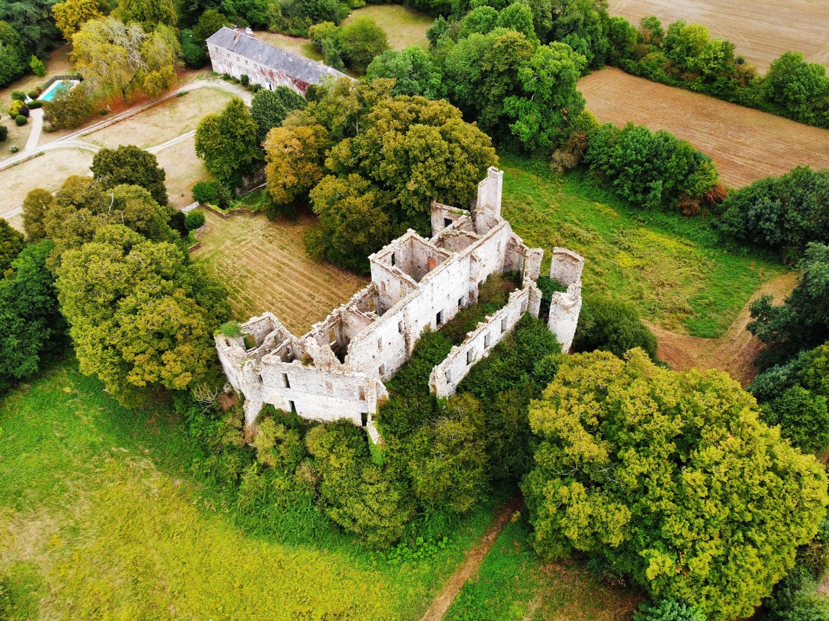 Moulin, bergerie, manoir en ruine : les biens atypiques français qui font rêver