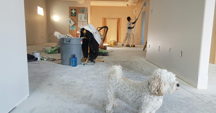 Rénover sa maison : par où commencer ? 