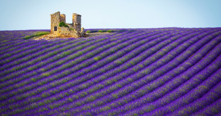 S’installer sous le soleil du Sud : les réalités à connaître avant de choisir la Provence 