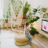 Les bienfaits des plantes d'intérieur : pourquoi elles ont toute leur place dans la maison